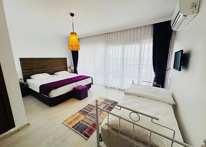 福达酒店 4* 达特恰